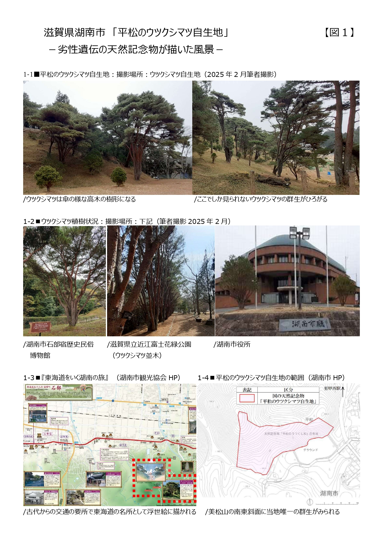 図１）平松のウツクシマツ自生地_page-0001