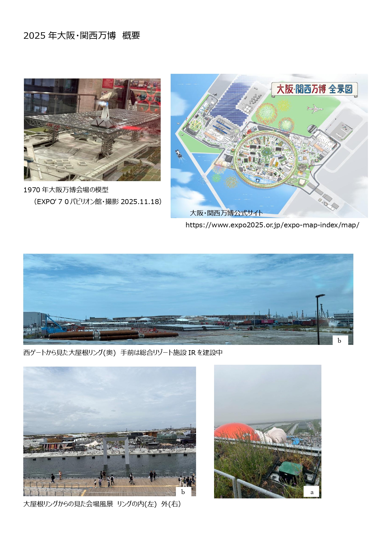 81191_011_32483215_1_1_卒業研究資料１_page-0001