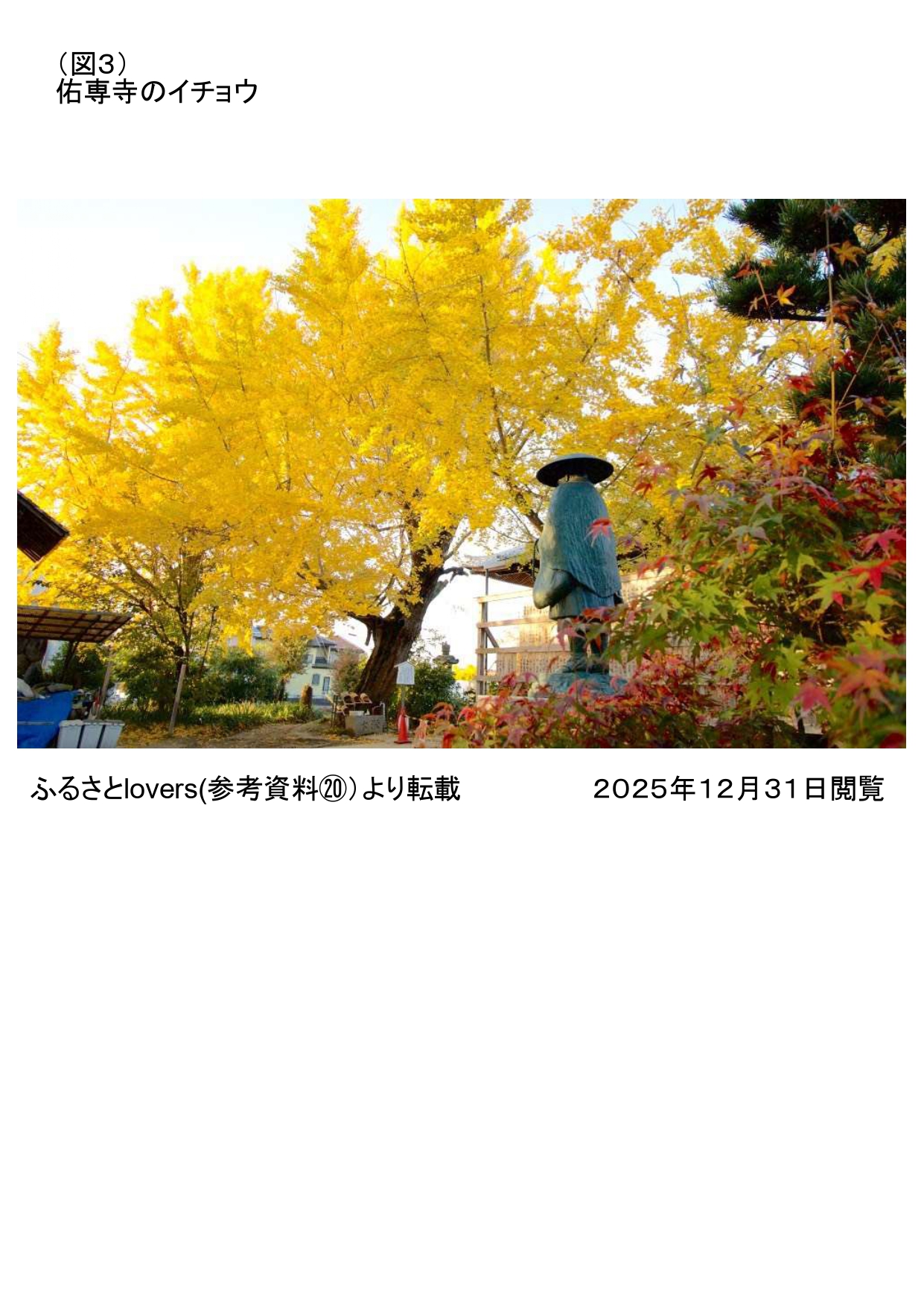 81191_011_32281025_1_3_図３_page-0001