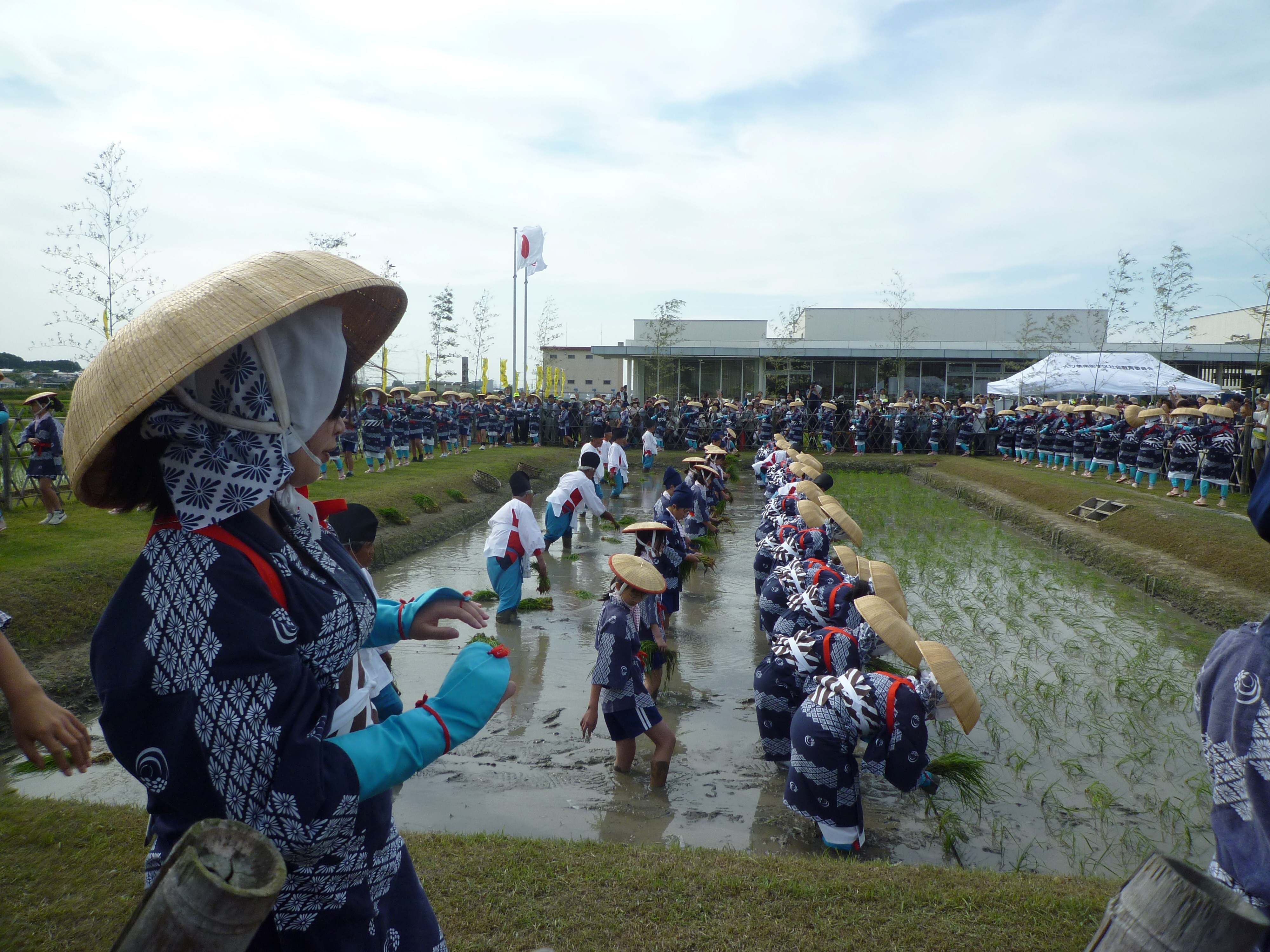 81191_011_32081100_1_1_P1040892お田植え