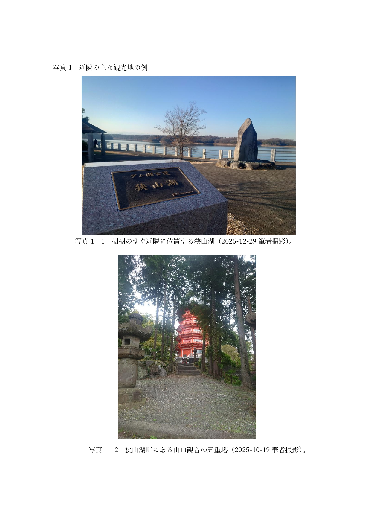 81191_011_32383167_1_1_写真1　近隣の主な観光地の例_page-0001