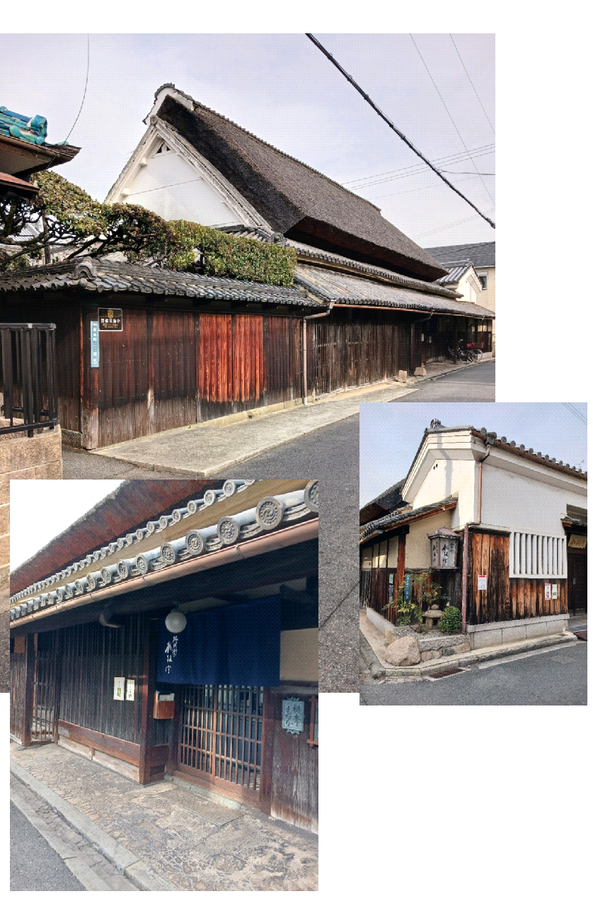 81191_011_32281029_1_1_M-4