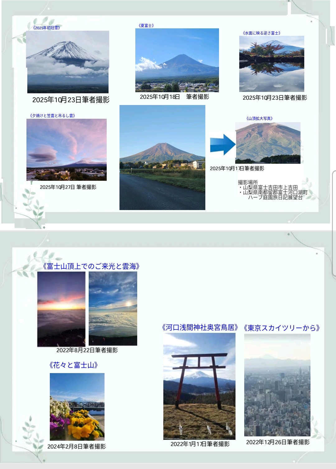 81191_011_32383128_1_1_Screenshot_20251031_115827_Adobe Acrobat