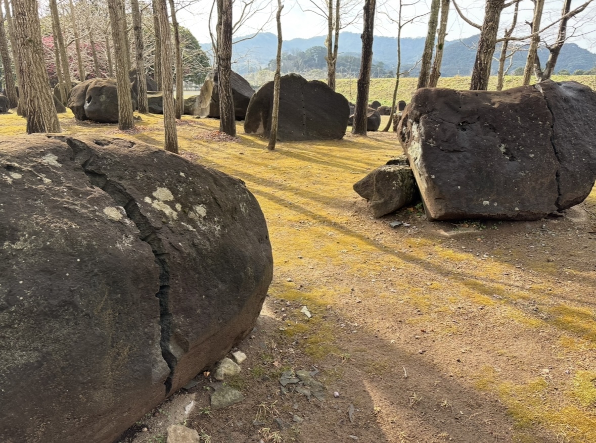 81191_011_32483183_1_1_IMG_2569