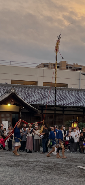 81191_011_32483198_1_1_image1 (1)