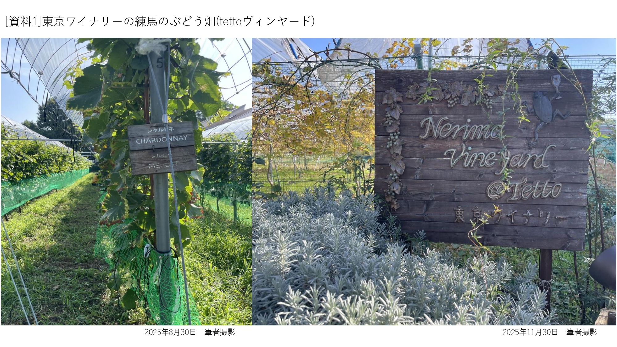 81191_011_32383037_1_1_[資料１]東京ワイナリーの練馬のぶどう畑、店舗、醸造所 写真_page-0001